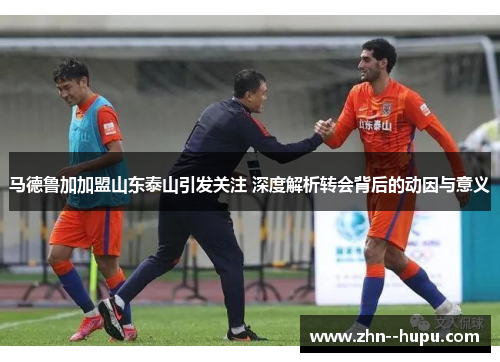 马德鲁加加盟山东泰山引发关注 深度解析转会背后的动因与意义