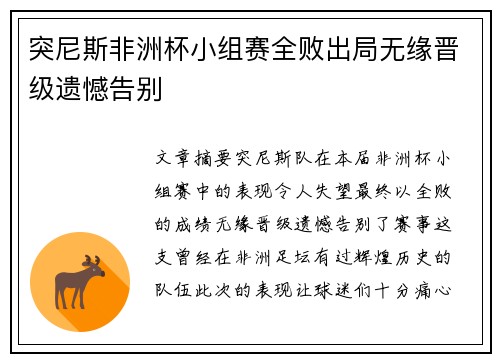 突尼斯非洲杯小组赛全败出局无缘晋级遗憾告别