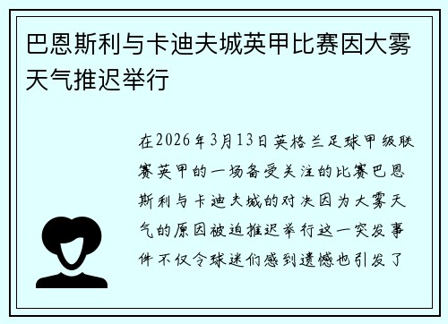 巴恩斯利与卡迪夫城英甲比赛因大雾天气推迟举行
